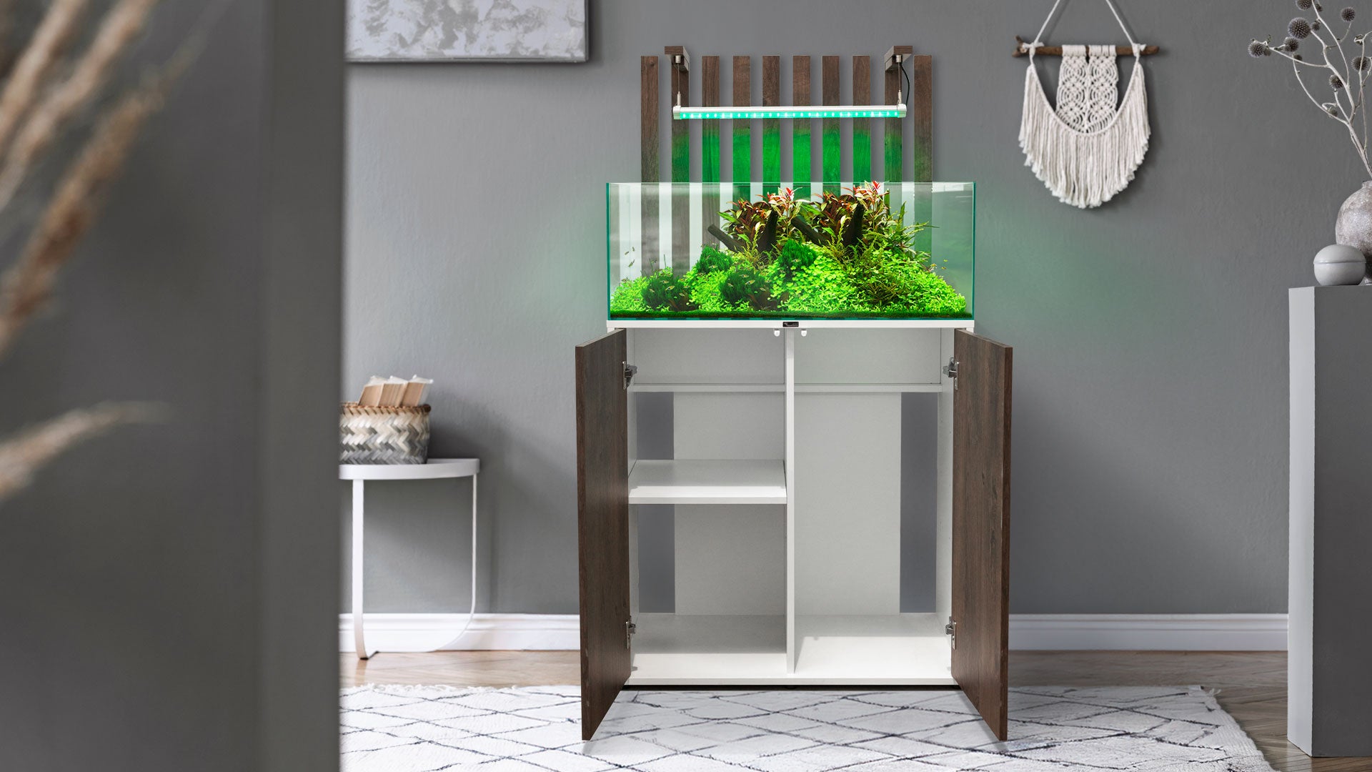 Shallow Aquascape 80 Aquarium