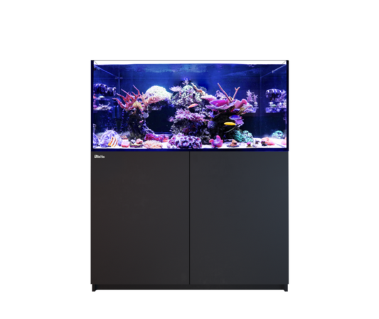 Red Sea Reefer 350 G3 Aquarium
