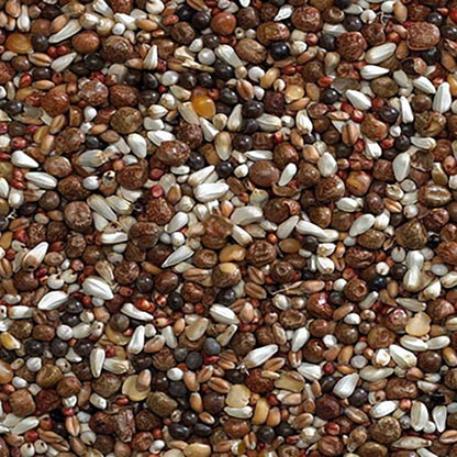 Bucktons VIP Pigeon Seed 20kg (NEW)