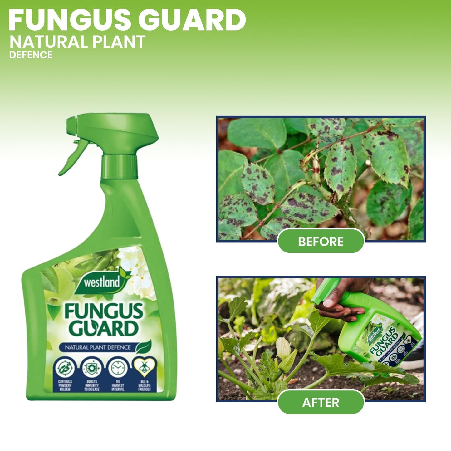 Westland Fungus Guard Spray RTU 800ml Crop Plant Protection Disease