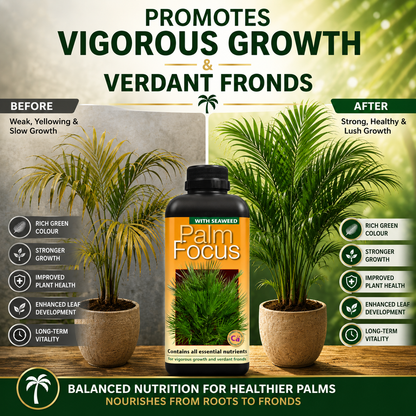 Palm Tree Fertiliser Feed For Healthy Vigorous Growth 1000 ml Palm Focus Garden