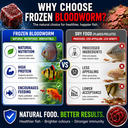 BCUK 100g Frozen Bloodworm – Natural Fish Prey