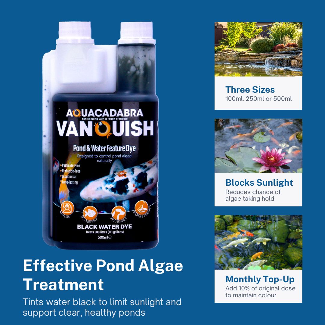 Aquacadabra Vanquish Pond Water Feature Dye Black