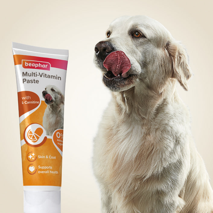 Beaphar Multi-Vitamin Paste for Dogs 