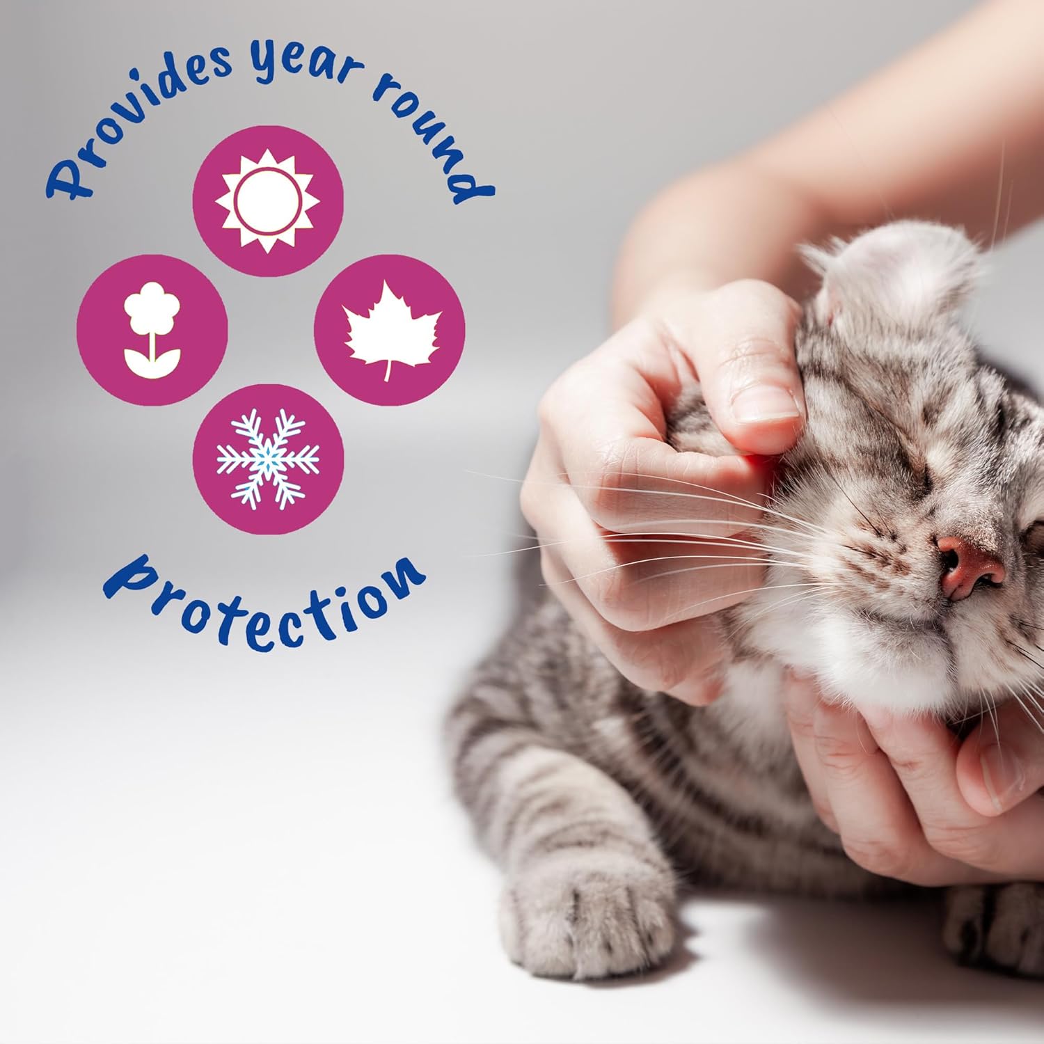 Johnson’s Vet Easy Spot On Wormer for Cats & Kittens 2 Pack