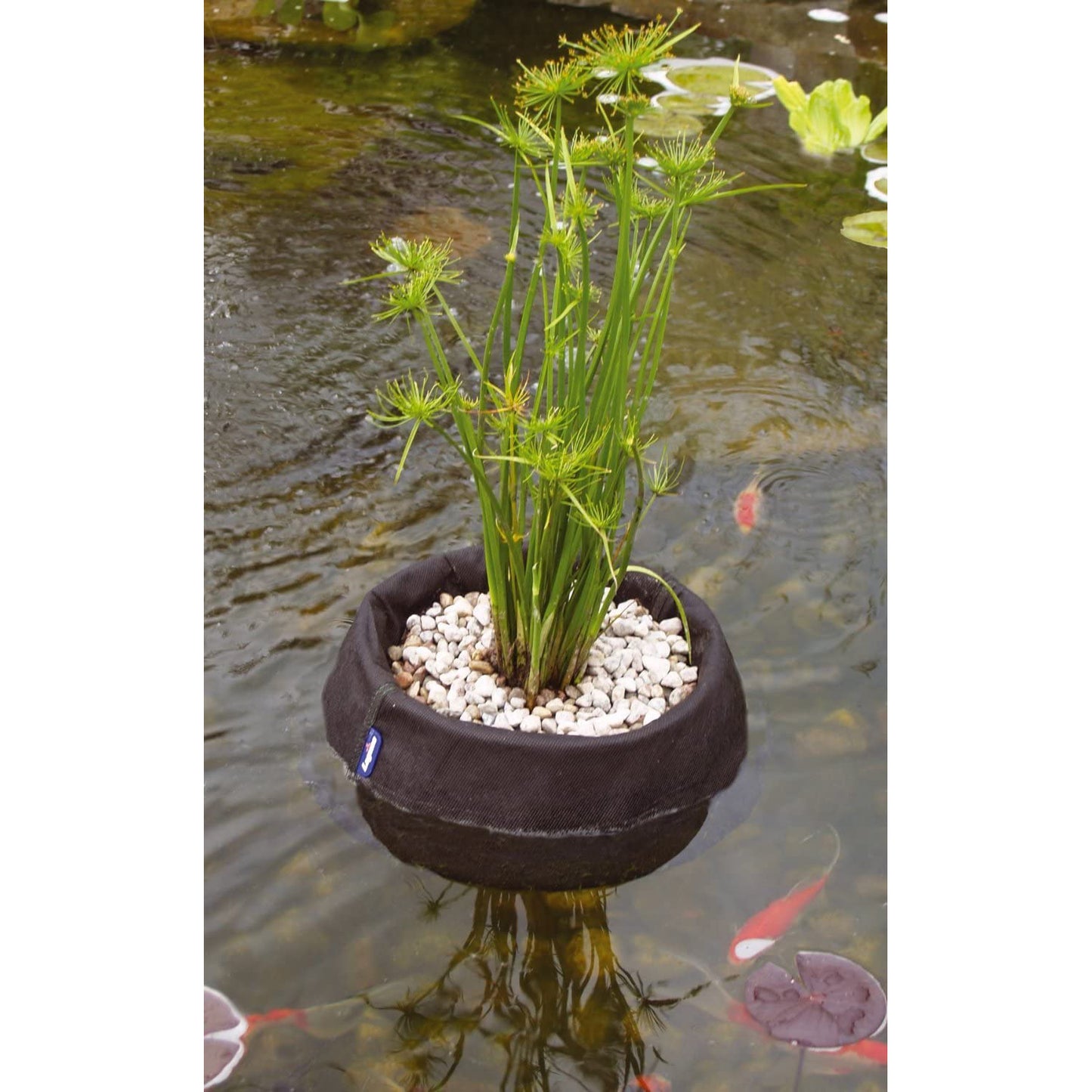 Floating Pond Plant Islands (Round)