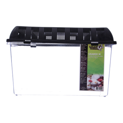 Giganterra Breeding Box M 27 x 17 x 16cm x19