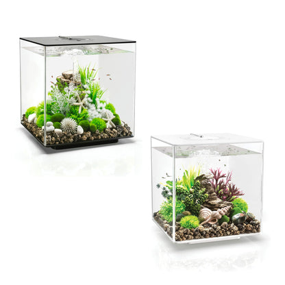 biOrb Cube 30 Acrylic Aquarium Fish Tank 30L with MCR LED – Black or White 