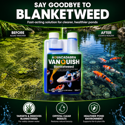 Aquacadabra Vanquish Blanketweed Algae Control Solution