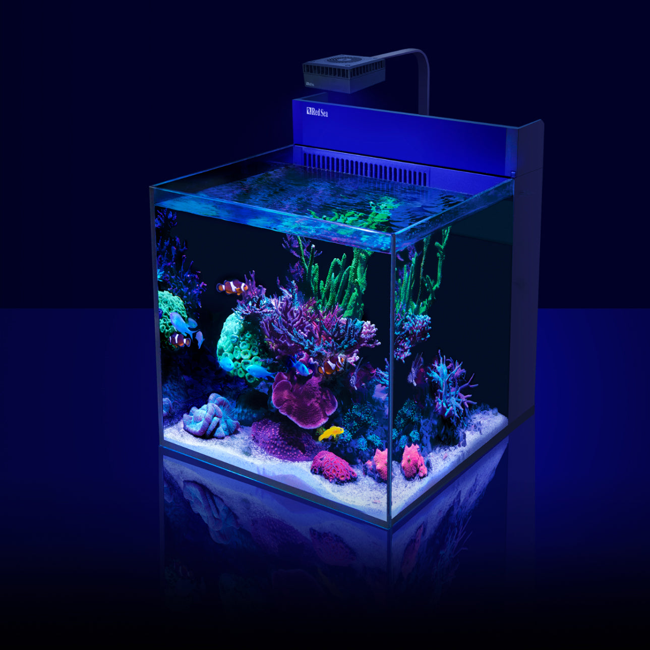 Red Sea MAX Nano XL G2 Aquarium