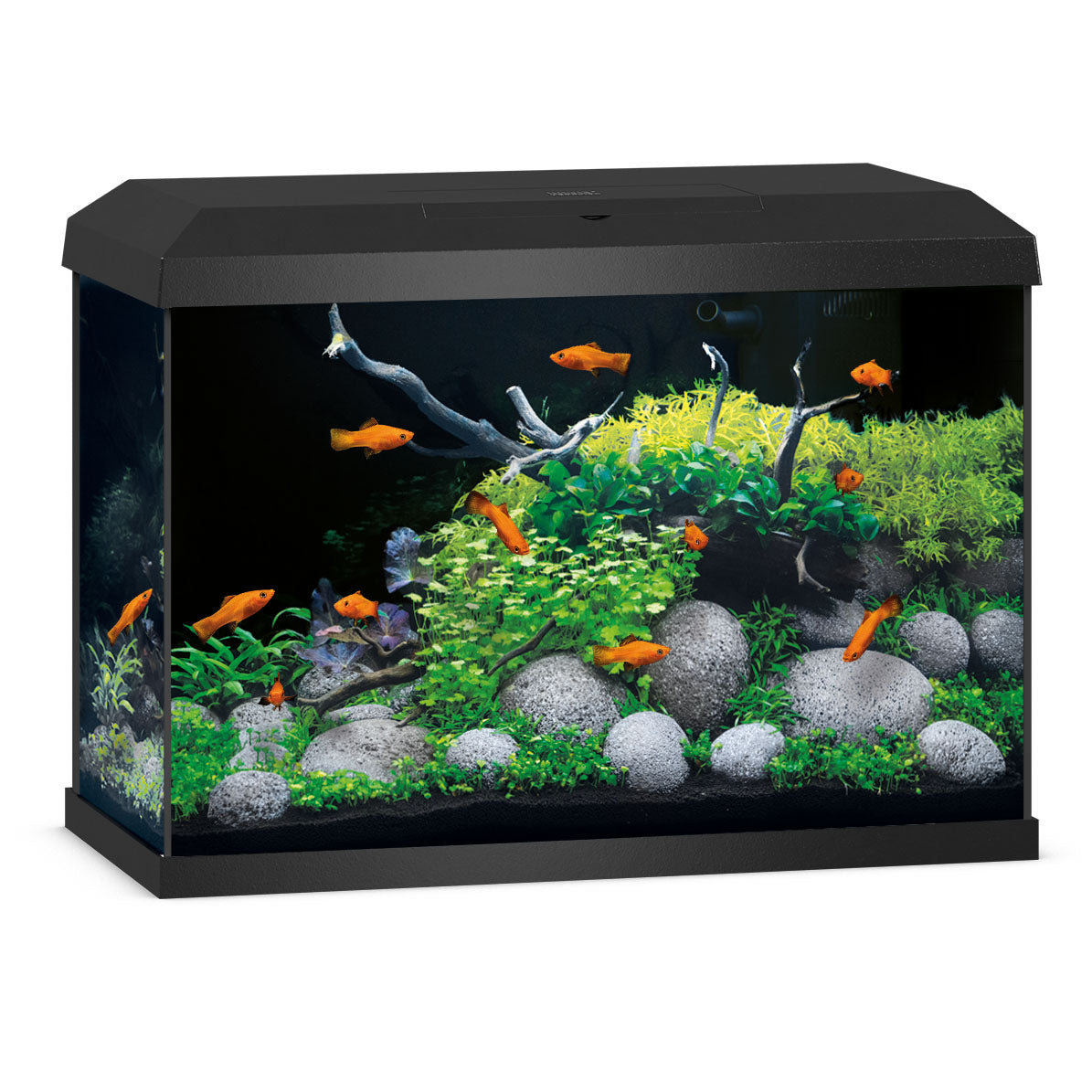 Juwel Primo 70 Black Aquarium