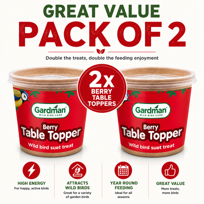 Gardman Table Toppers Berry High Energy Wild Bird Treats Food