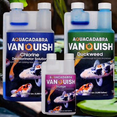Vanquish Treatments