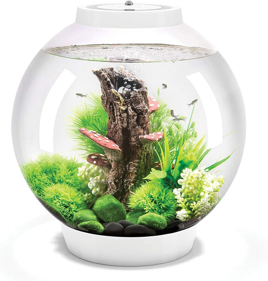 biOrb Classic 30L LED Aquarium – White Round Fish Tank