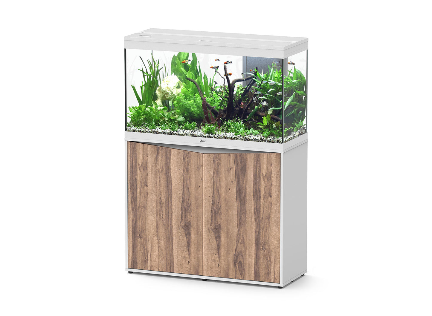 Aquatlantis Splendid Ultra 100 Aquarium