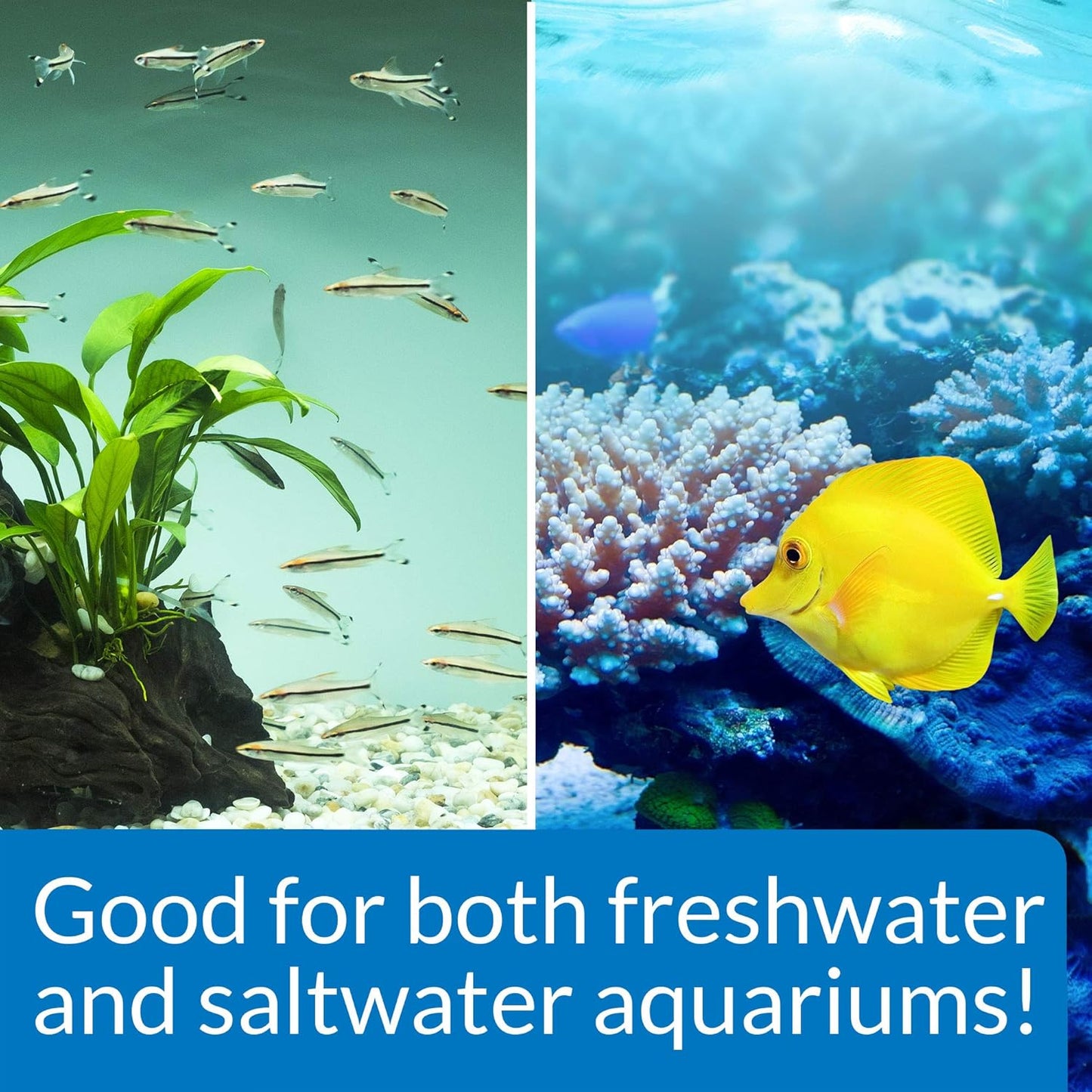 API Stress Zyme Aquarium Bacteria Treatment 30ml