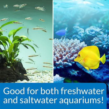 API Stress Zyme Aquarium Bacteria Treatment 30ml
