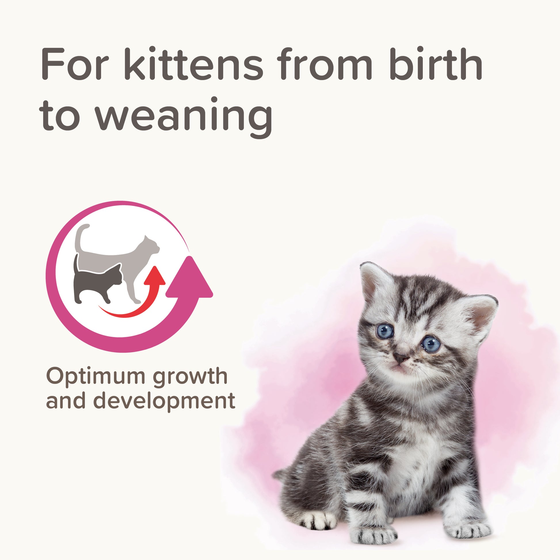 Beaphar Lactol Kitten Milk 500g