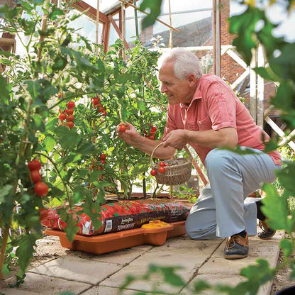 Hozelock Grow Bag Waterer