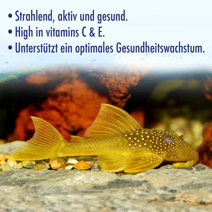 Aquarian Algae Wafer Bottom Feeding Fish
