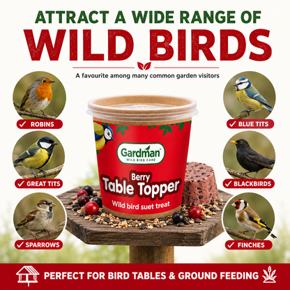 Gardman Table Toppers Berry High Energy Wild Bird Treats Food
