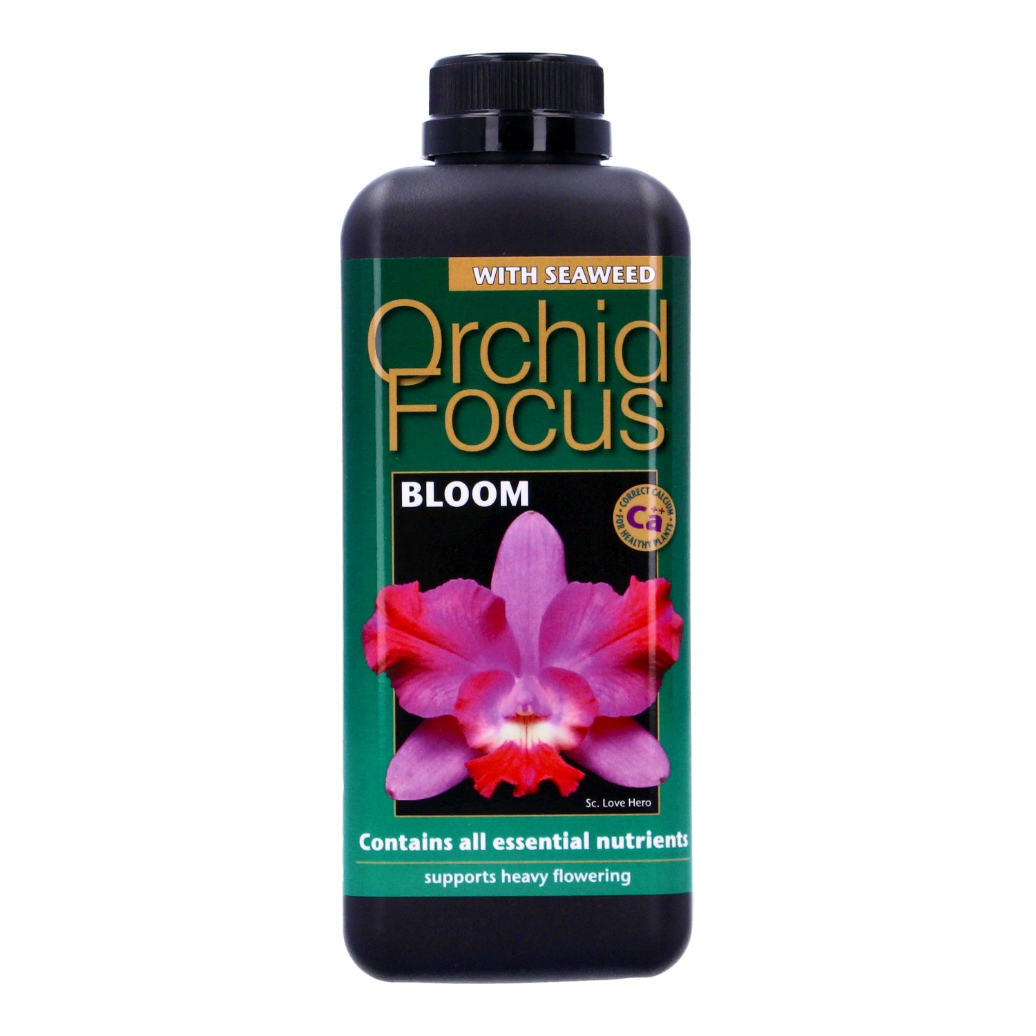 Growth Technology Orchid Focus Bloom 1 Liter 