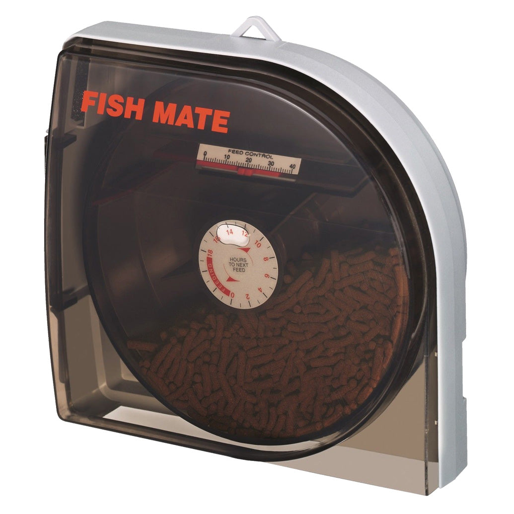 Aquacadabra Pond Food 2kg & P21 Auto Feeder