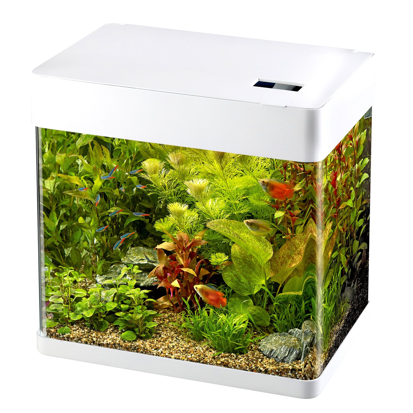 Superfish Panorama 35 White Aquarium 30L