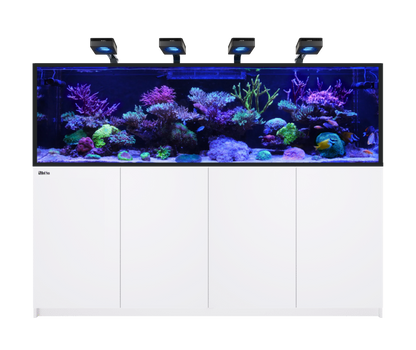 Red Sea Reefer MAX S-1000 G3 Aquarium
