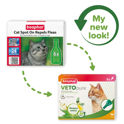 Vetopure Beaphar Cat Spot On Flea Protection - 6 Pipettes for 24 Weeks