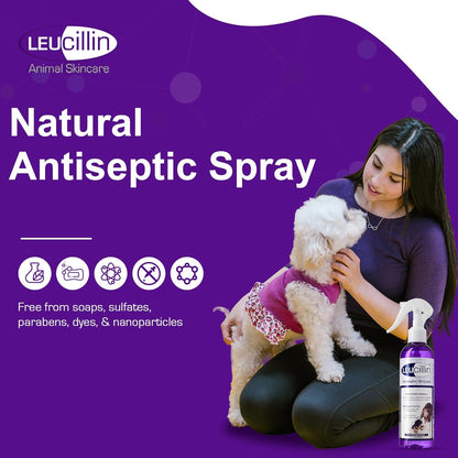 Leucillin Antiseptic Dog Cat Skin Care Solution Spray Instant Germ Killer