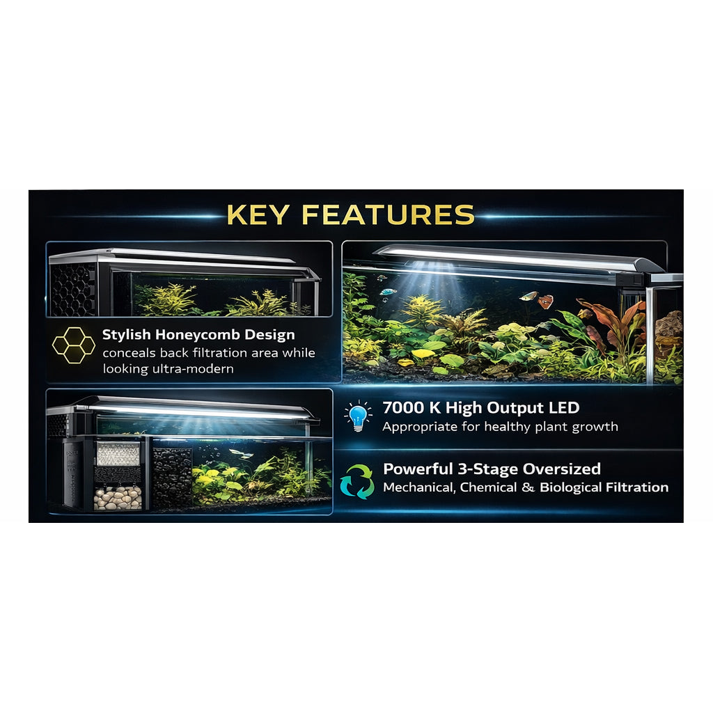 Fluval SPEC 19L Nano Aquarium with 7000K LED & 3-Stage Filtration Black