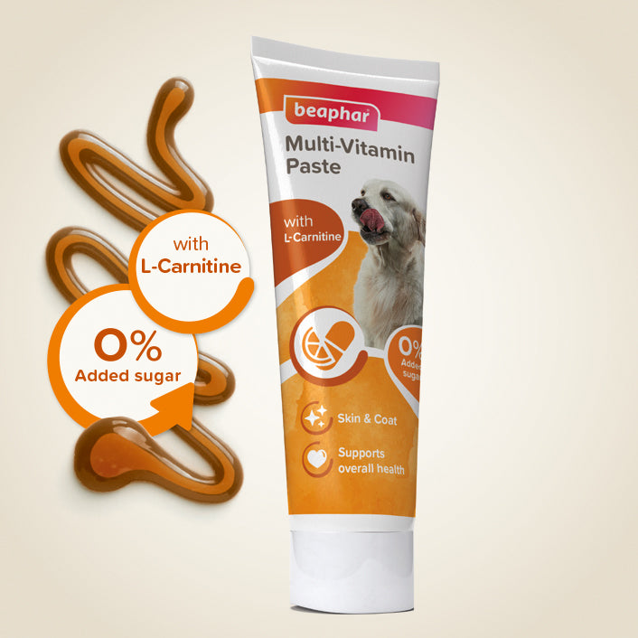 Beaphar Multi-Vitamin Paste for Dogs 