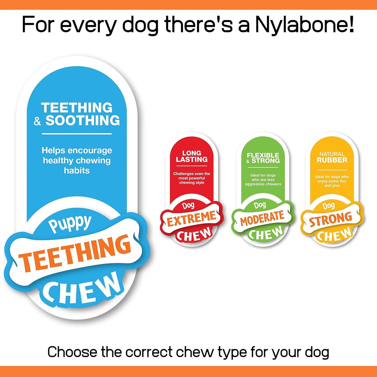 Nylabone Gentle Puppy Dog Teething Chew Toy Bone, Delicious Flavour, Small