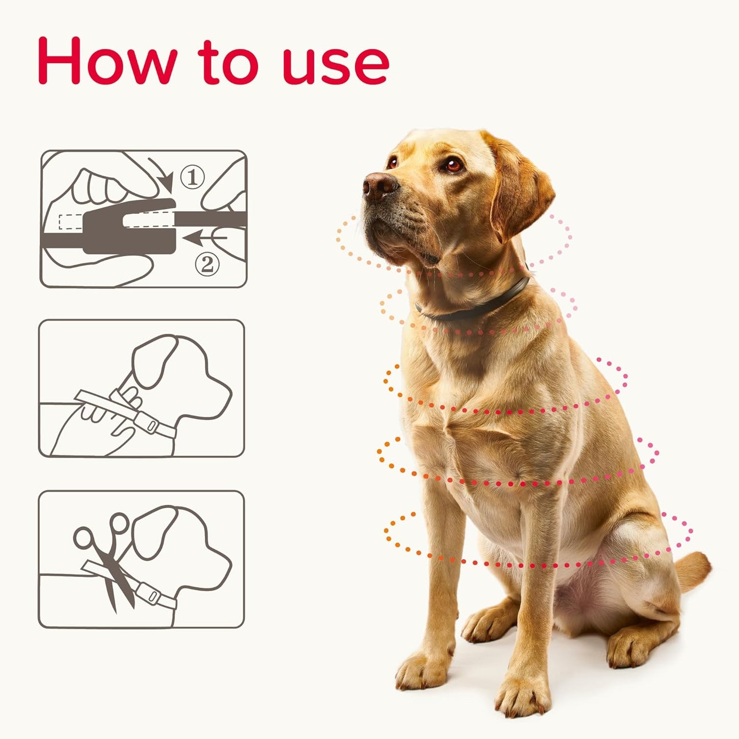 Beaphar Canishield Medicated Collar 4-6 Months up to 65cm