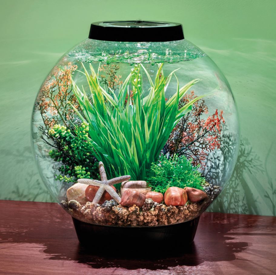 Oase biOrb Palau Décor Set – Complete Pacific-Style Aquarium Decoration