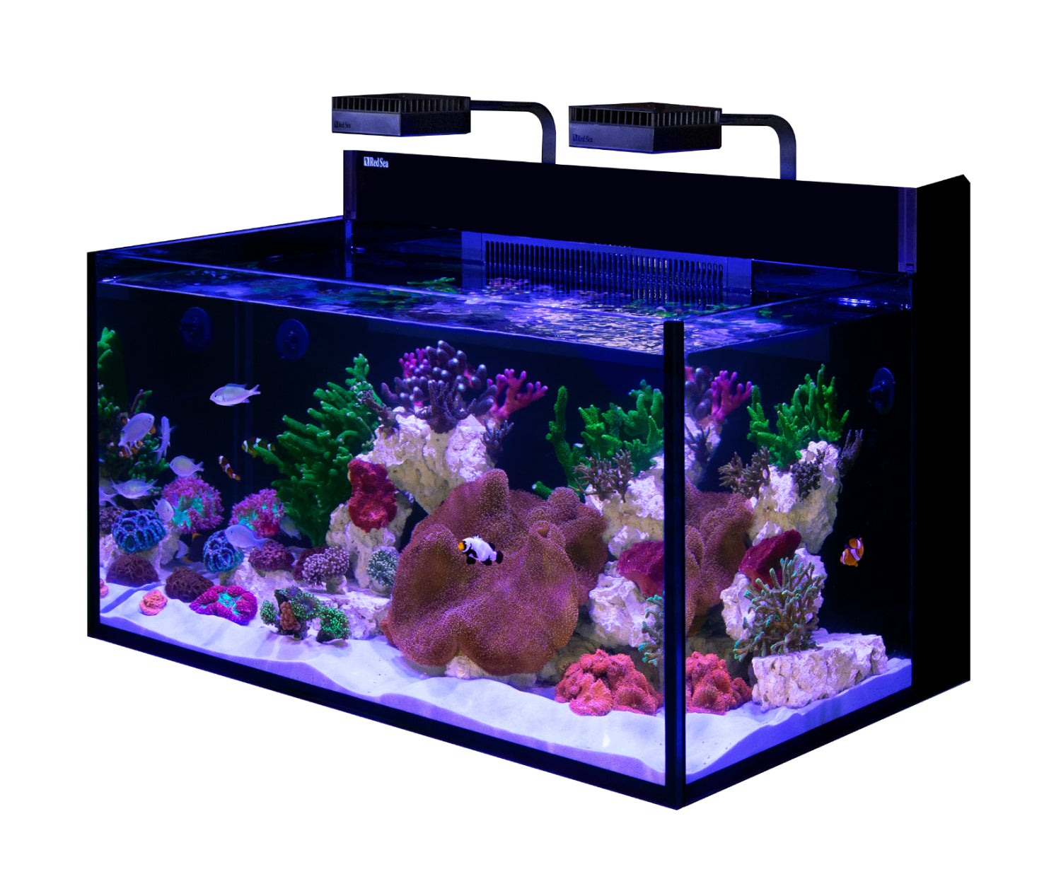 Red Sea Max Nano G2 XXL 200L Aquarium & Cabinet
