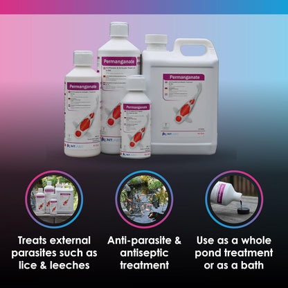 NT Labs Permanganate Dip