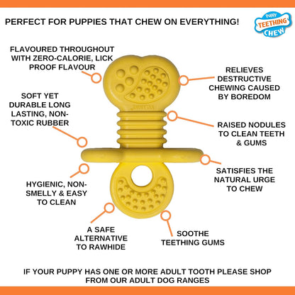 Nylabone Gentle Puppy Dog Teething Chew Toy Bone, Delicious Flavour, Small