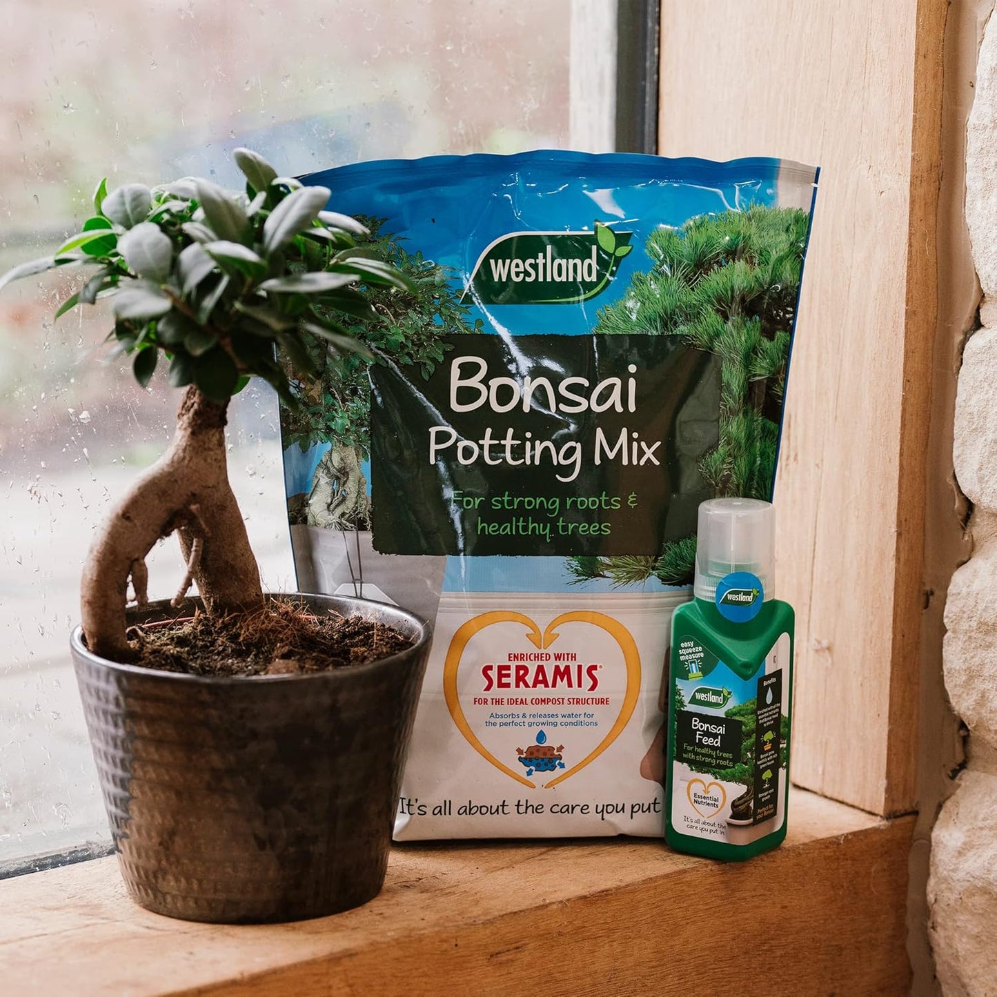 Westland Bonsai Potting Mix & Food