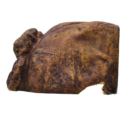 Exo Terra Tortoise Cave Extra Large