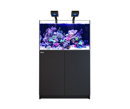 Red Sea Reefer MAX 300 G3 Aquarium