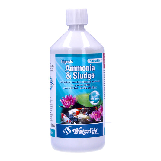 Waterlife BacterLife P Pond Bacteria Reducer (250ml/500ml/1L)
