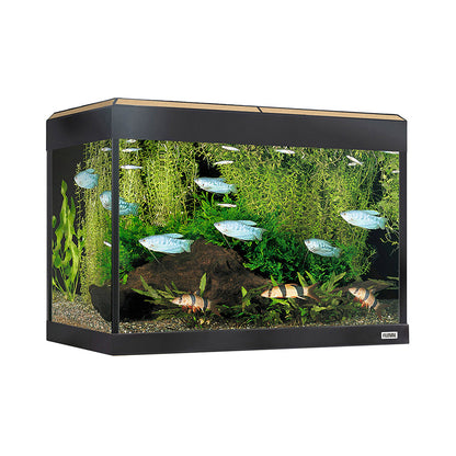 Fluval Roma 90L Aquarium