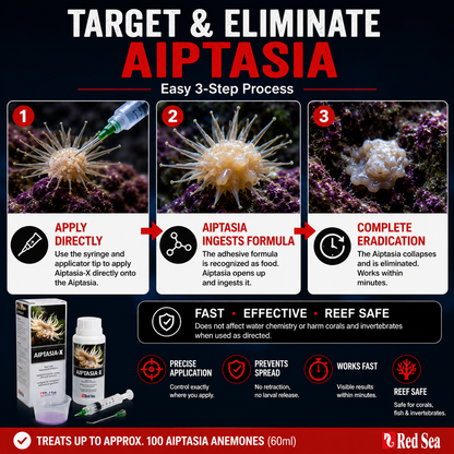 Red Sea Aiptasia-X 60ml Kit - R22231