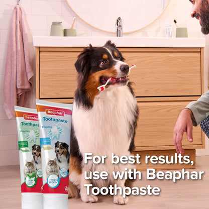 Beaphar Dual-Head Pet Toothbrush for Cats & Dogs