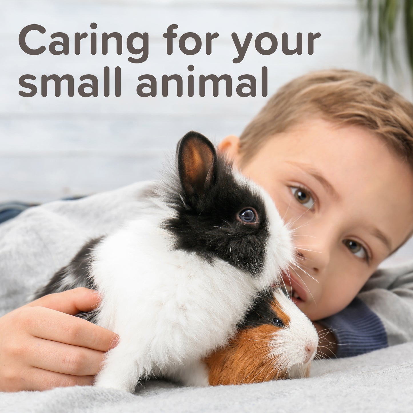 Beaphar Cage Fresh Granules 600g - Odour Control for Cages