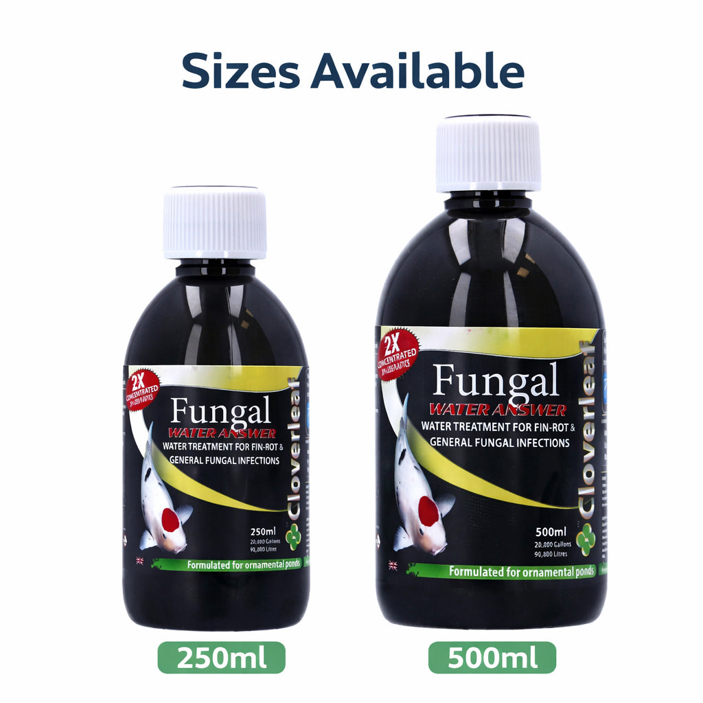 Cloverleaf Fungal Water Answer Pond Fish Treatment Koi 250ml & 500ml