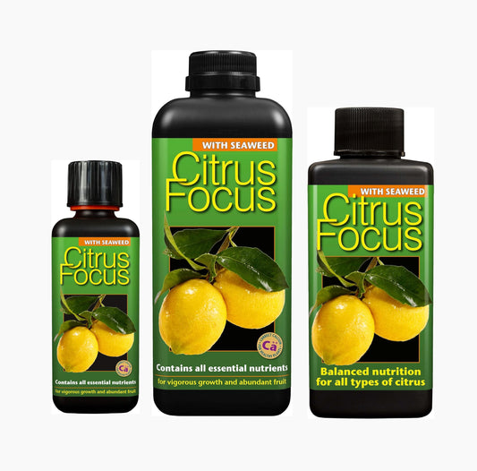 Growth Technology Citrus Focus 100ml 300ml 1L Plant Food For Orange/Lemon Trees