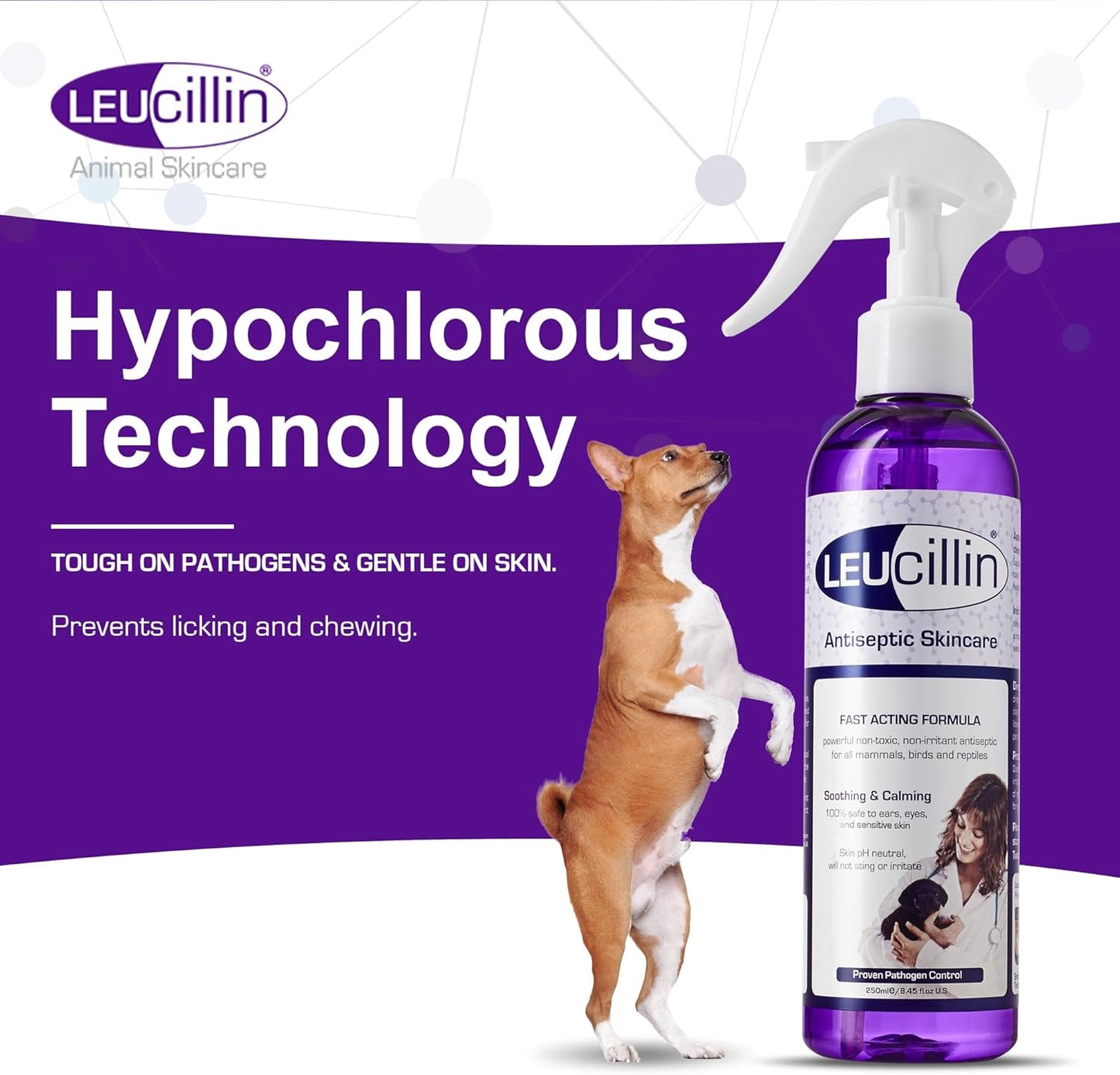 Leucillin Antiseptic Dog Cat Skin Care Solution Spray Instant Germ Killer